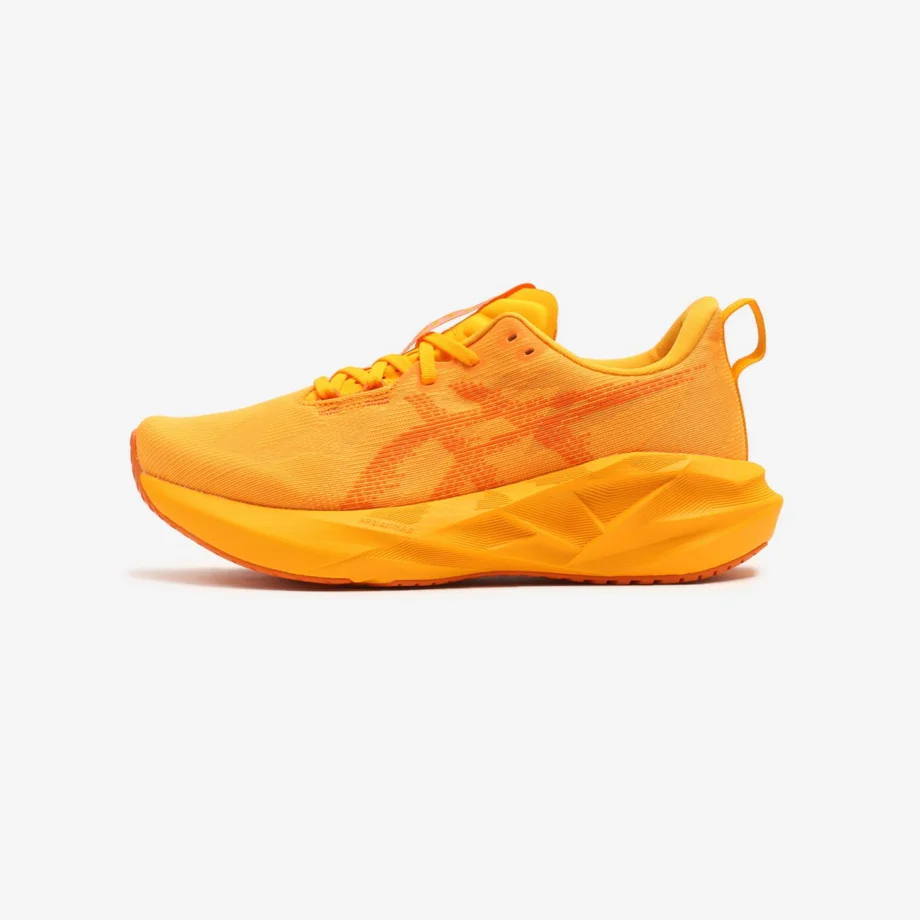 Asics Novablast 5