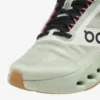 Wmns On Cloudsurfer Next Z5
