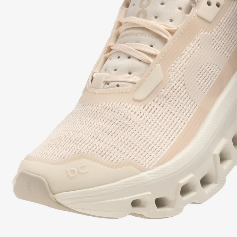 Wmns On Cloudmonster Void