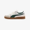 Puma Indoor