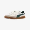 Puma Indoor