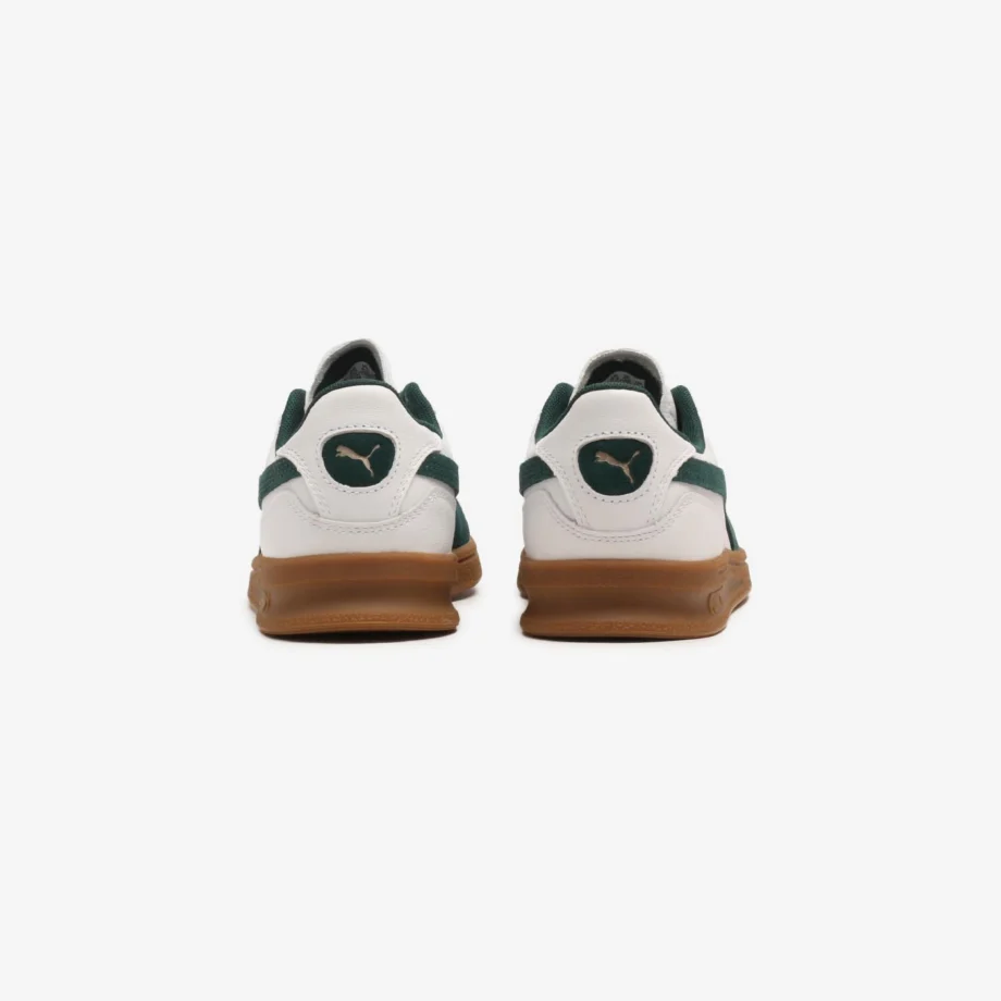 Puma Indoor