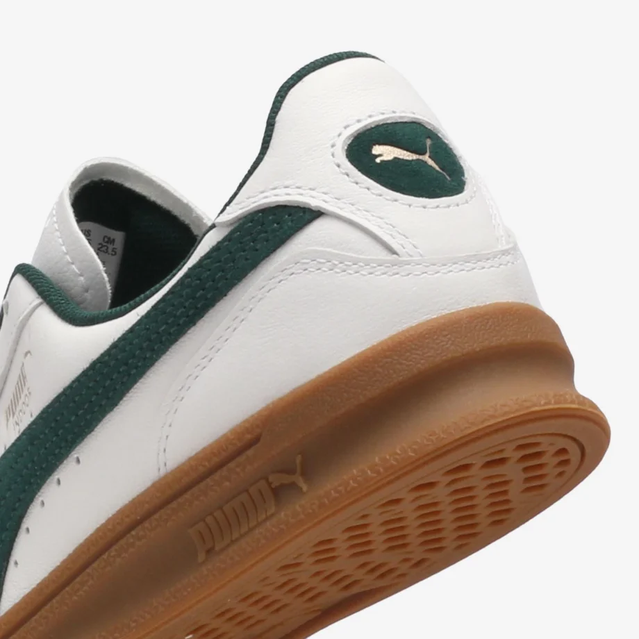 Puma Indoor