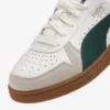 Puma Indoor