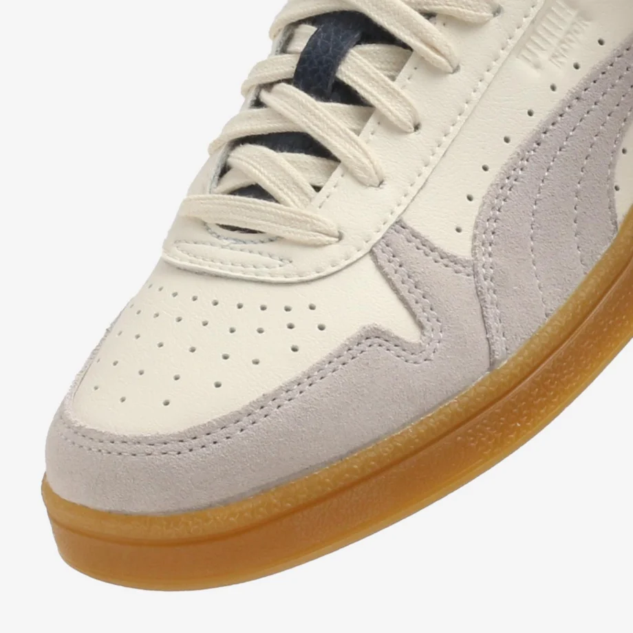 Puma Indoor Special