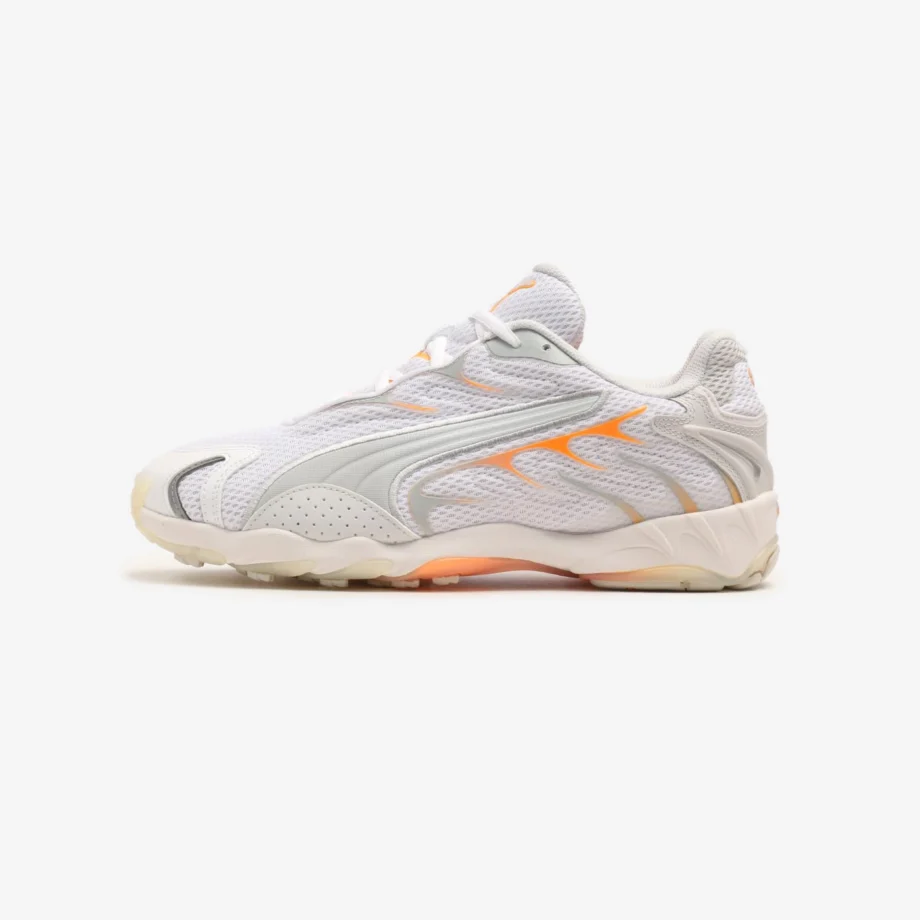 Puma Inhale