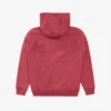 Parra Script Logo Hooded Sweatshirt