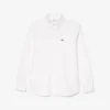 Lacoste Chemise Casual Manches