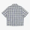 Dickies Springdale Shirt