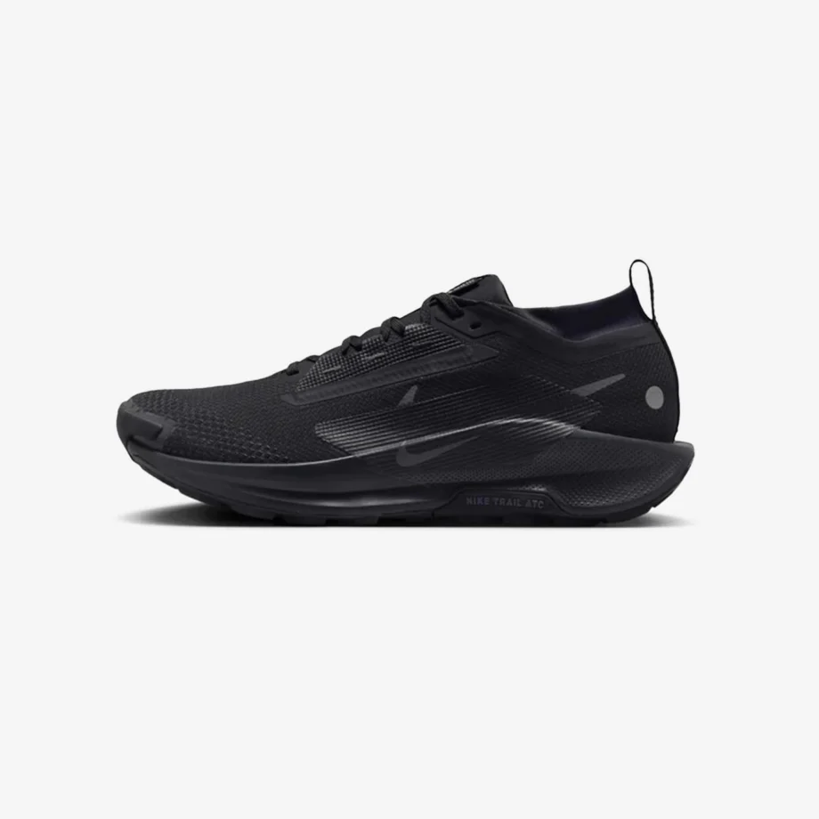 Nike Pegasus Trail 5 Gore-Tex «Triple Black»