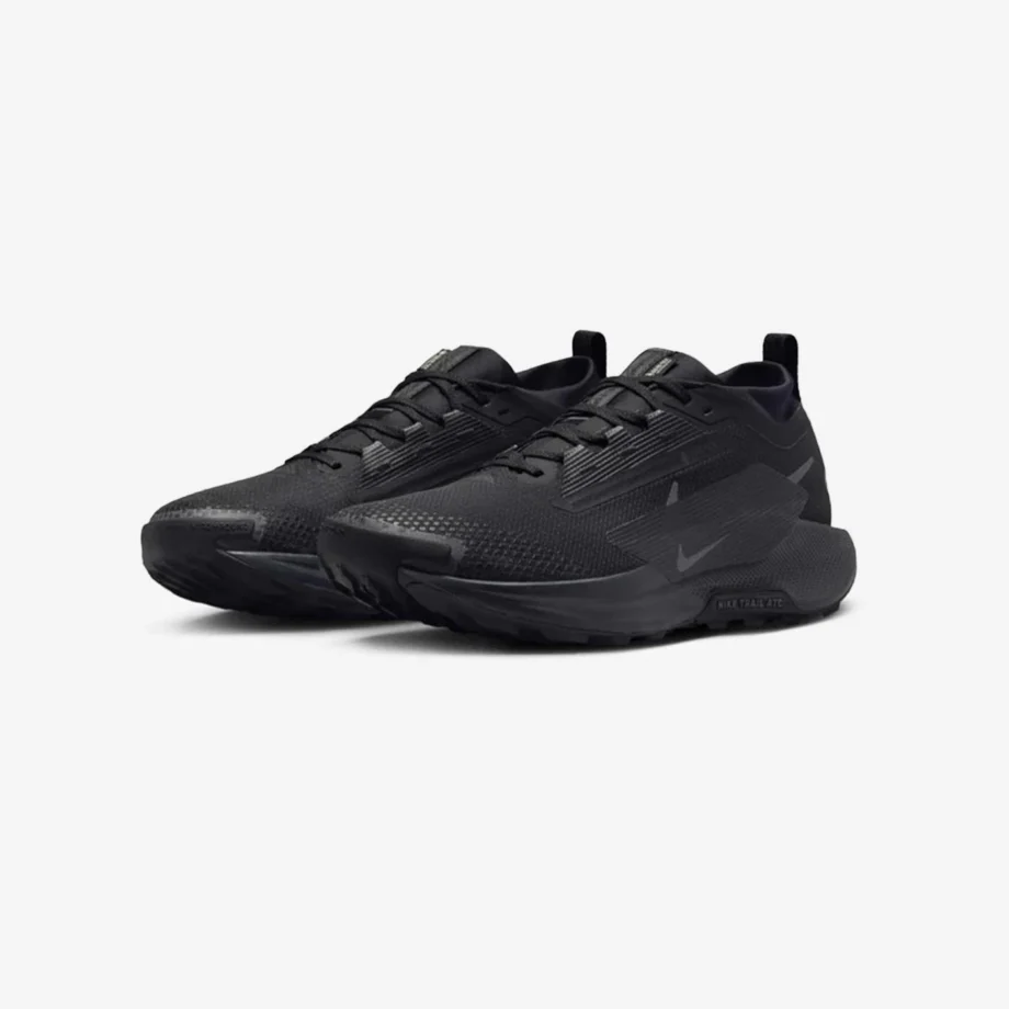 Nike Pegasus Trail 5 Gore-Tex «Triple Black»
