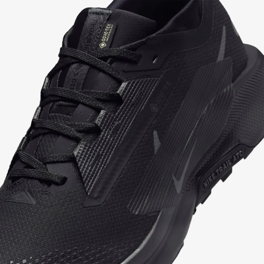 Nike Pegasus Trail 5 Gore-Tex «Triple Black»