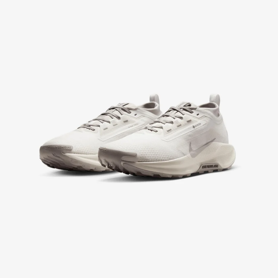 Nike Pegasus Trail 5 GORE-TEX SP «Summit White»