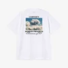 Carhartt WIP S/S Warm Views T-Shirt