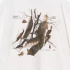 Carhartt WIP S/S Feather Progress T-Shirt