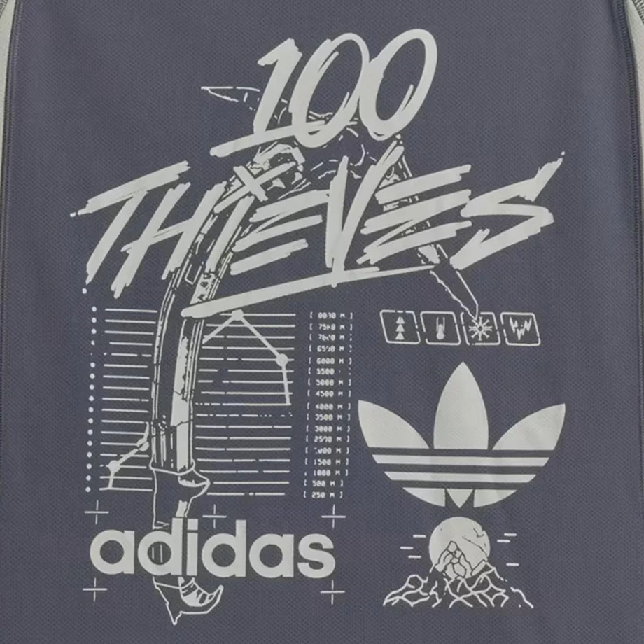 100 Thieves x Adidas T-Shirt