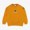 Adidas Equipment Washed Crew