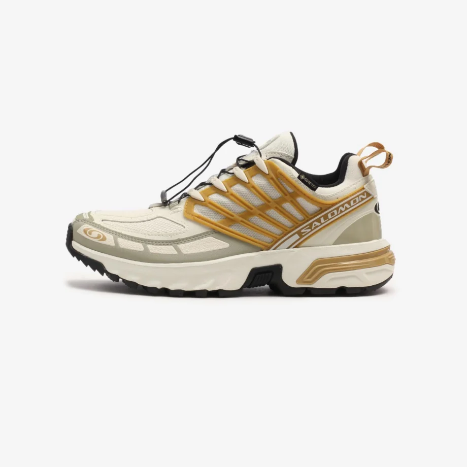 Salomon ACS Pro GTX